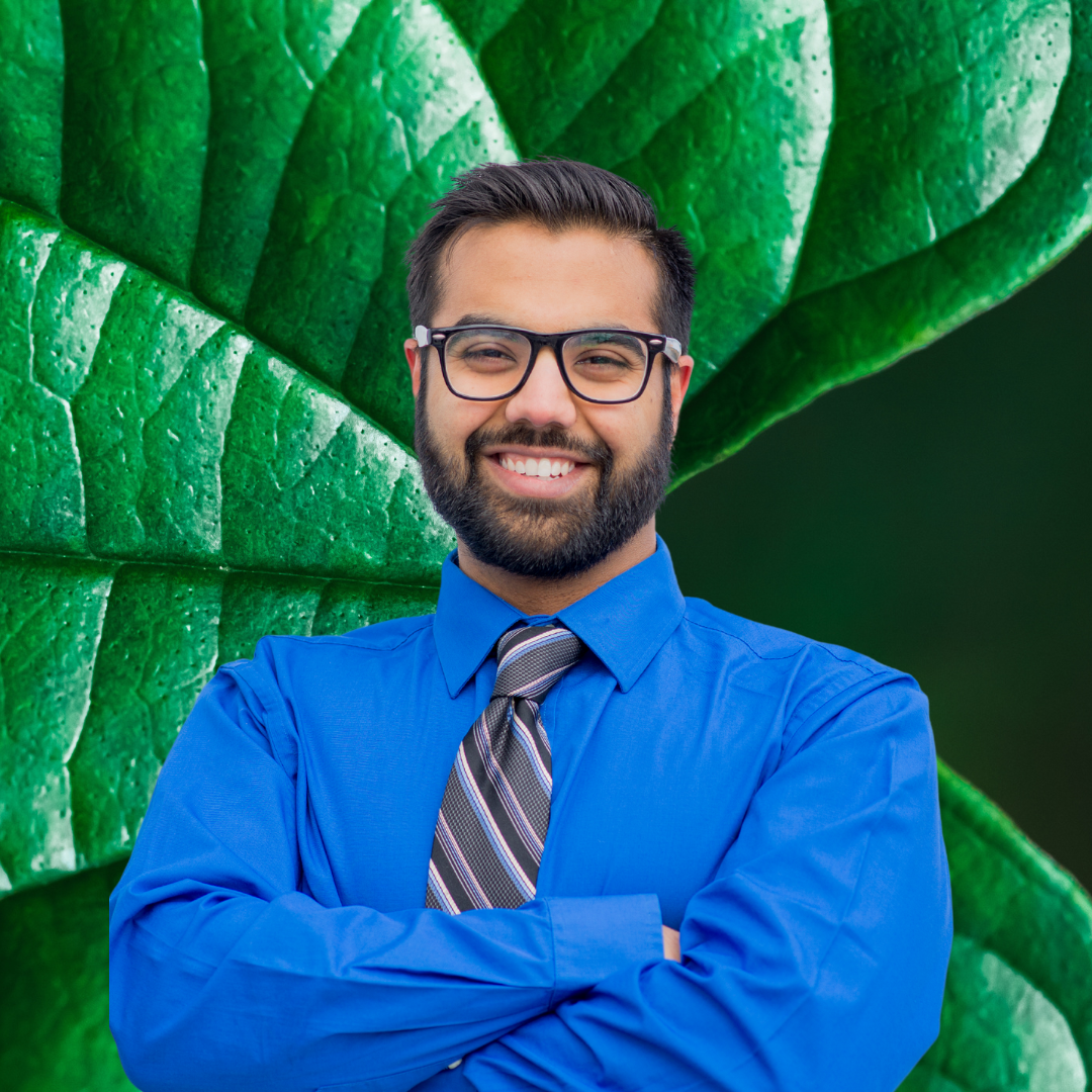Rashid Sheikh